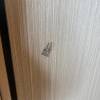 comment-small-img