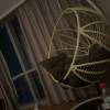 comment-small-img