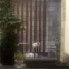 comment-small-img