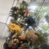comment-small-img