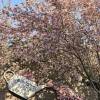 comment-small-img