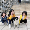 comment-small-img