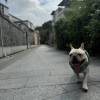 comment-small-img