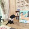 comment-small-img