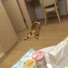comment-small-img