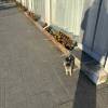 comment-small-img