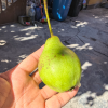 comment-small-img