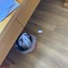 comment-small-img