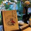 comment-small-img