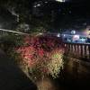 comment-small-img
