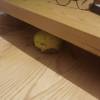 comment-small-img