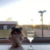 comment-small-img