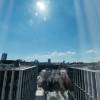 comment-small-img