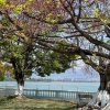 comment-small-img