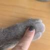 comment-small-img