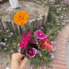 comment-small-img