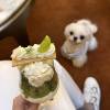 comment-small-img