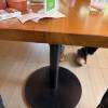 comment-small-img