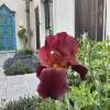 comment-small-img