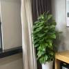 comment-small-img