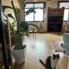 comment-small-img