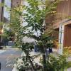 comment-small-img