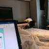 comment-small-img