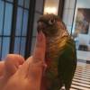 comment-small-img