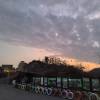 comment-small-img
