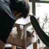 comment-small-img