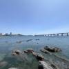 comment-small-img