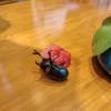 comment-small-img