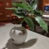 comment-small-img