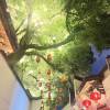 comment-small-img