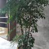 comment-small-img