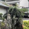 comment-small-img