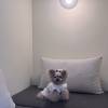 comment-small-img