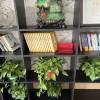 comment-small-img