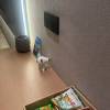 comment-small-img