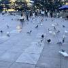 comment-small-img
