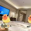 comment-small-img
