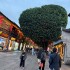 comment-small-img