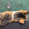 comment-small-img