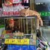 comment-small-img