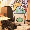 comment-small-img