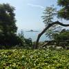 comment-small-img