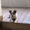 comment-small-img