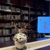 comment-small-img