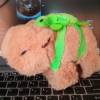 comment-small-img