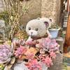 comment-small-img